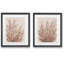 Wildflowers rustiques, ensemble de 2 reproductions d’art encadrées sur papier