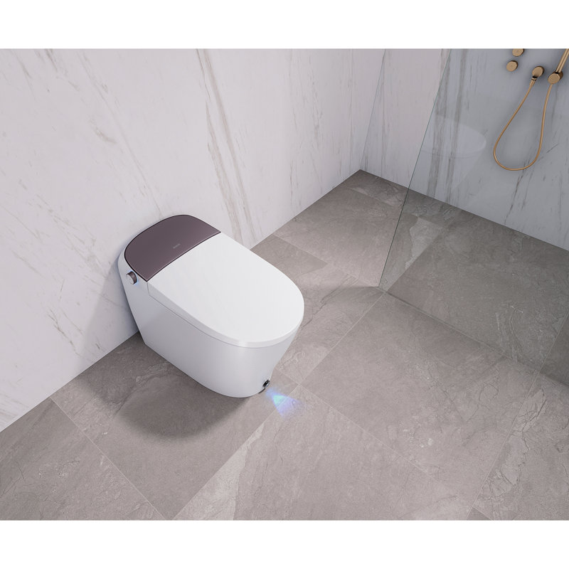 Toilette allongée à fixation au sol Dyconn 0,7 GPF (siège inclus)
