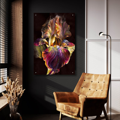 " Iris " by PhotoINC Studio