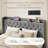 Modern Tufted Upholstered Bed In Velvet Or Linen With Charging Station & Headboard Shelf, High Clearance Under Bed Storage-290350258-290350265