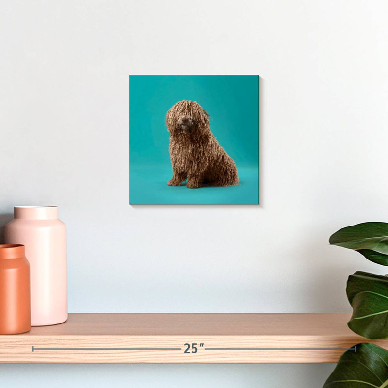 Crowle Komondor Dog, H 10 po x l 10 po