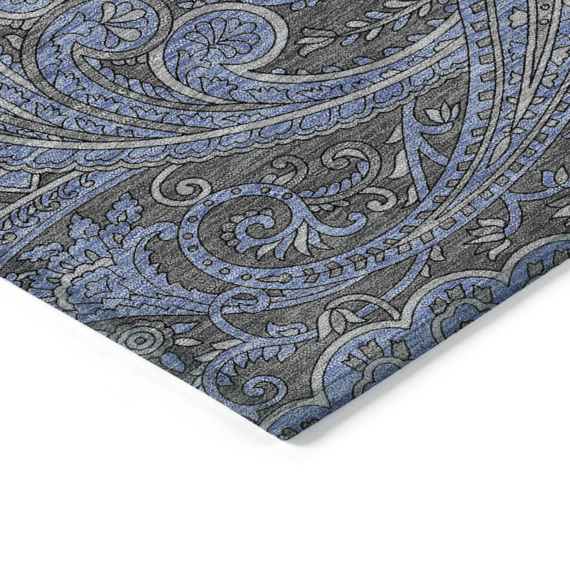 Nayelin Washable Paisley Indoor / Outdoor Rug, Rectangle 10' x 14'
