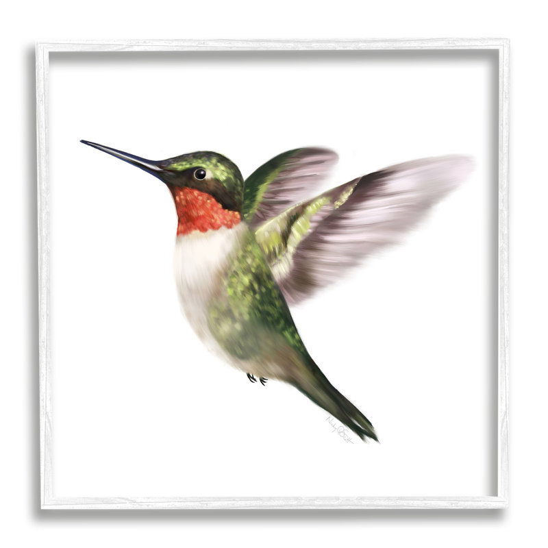 «Flying Hummingbird Wings Hovering Casual», estampe numérique, ensemble d'art texturé par Studio Q, L 17 po x H 17 po