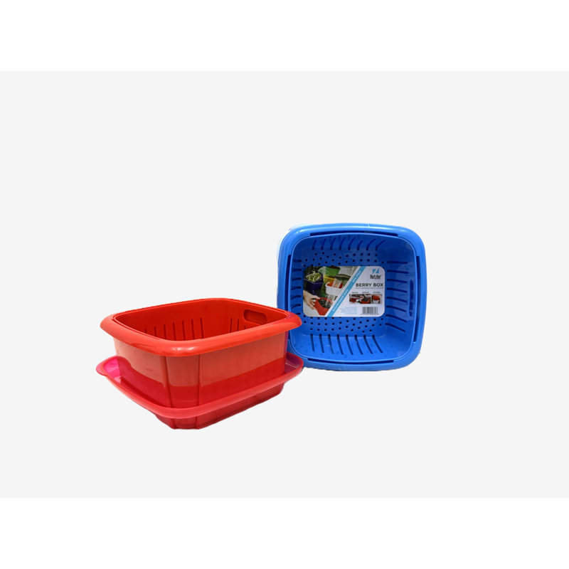 Berry Box Set Of 2 Red Blue