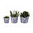 Bethony Decorative Stoneware Ceramic Planter Set with Intricate Detailing Durable Handmade Design Accent Containers for Indoor Outdoor Display Versatile Home Decor Plant Holders Set of 3-1030362180