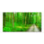 50cm W x 100cm L Glass Peel and Stick Panel