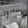 Benchmark Series 300 Series 24" 46 dBA Stainless Steel Built-In Top Control Dishwasher with Adjustable Rack and Tall Tub