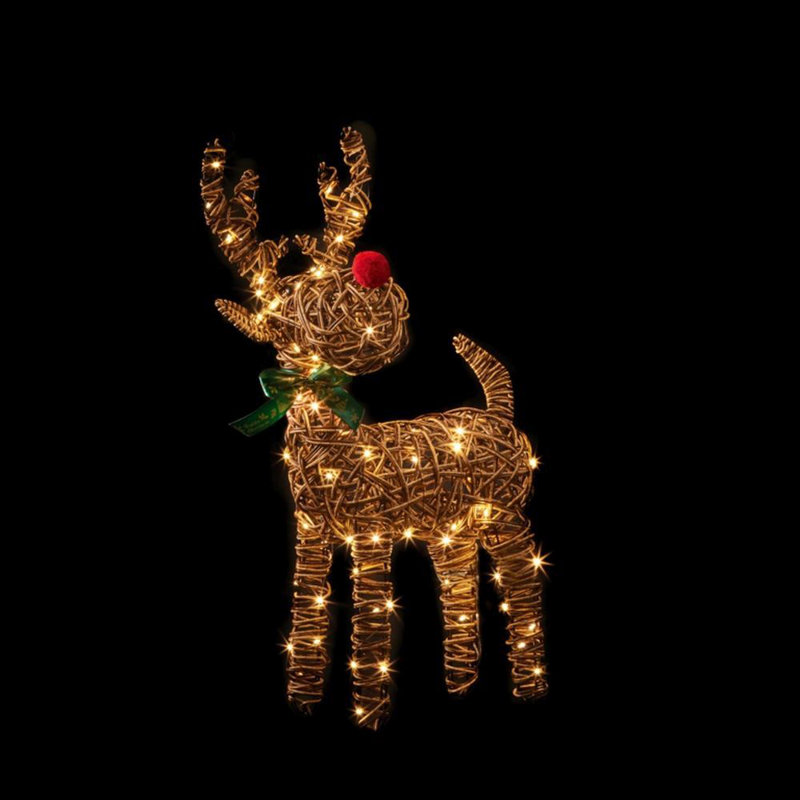Aneliya Decoration