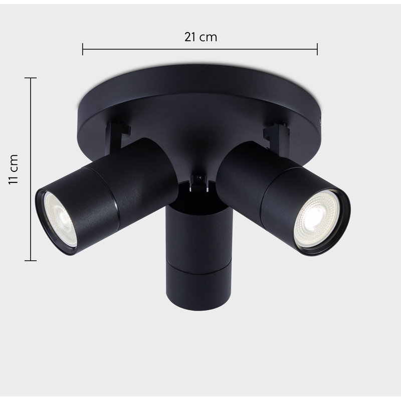Auralia Spotlight, Black