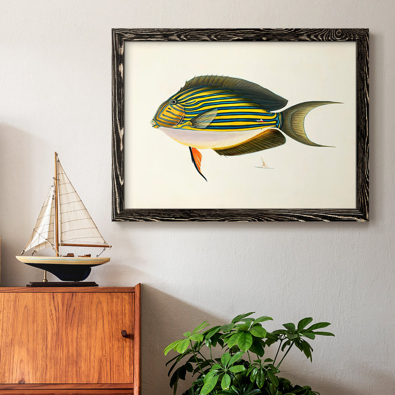 «Tropical Fish Collection I», reproduction sur toile, H 18 po x l 26 po, Noir