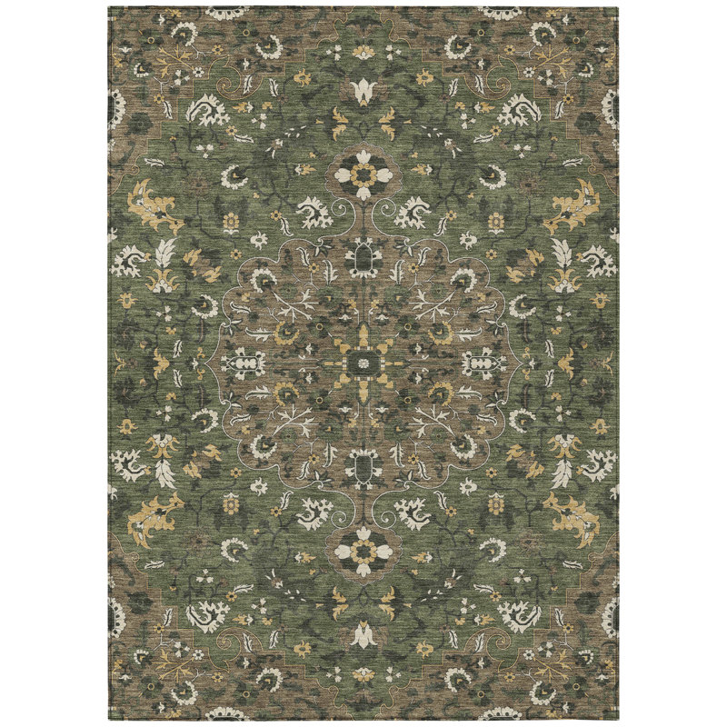 Machine Washable Indoor/Outdoor Chantille ACN2463 Traditional Rug, 3' x 5', Brown