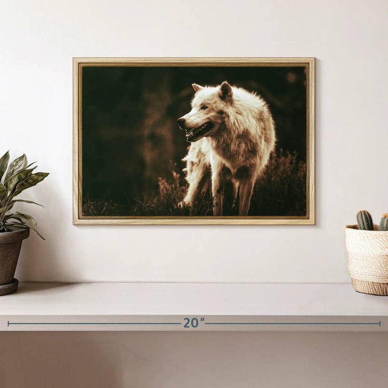 Loup Alpha qui grogne, Cadre flottant en bois naturel, 13 po x 9 po