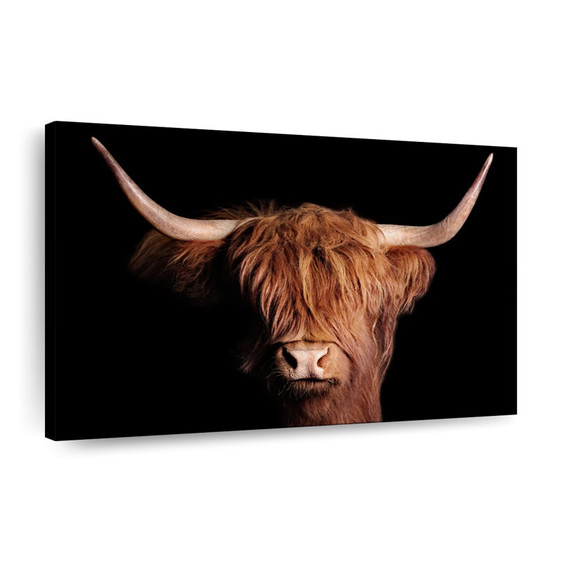 " Scottish Highland Cow ", 8" H x 12" W x 1" D