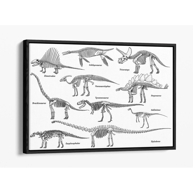 Print, 20.32 cm H x 30.48 cm W, Black