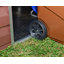 Skylight Plastic Garden Shed-19157735-106947682