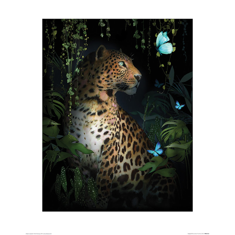 Leopard by Summer Thornton - No Frame Painting, 50cm H x 40cm W x 0.01cm D