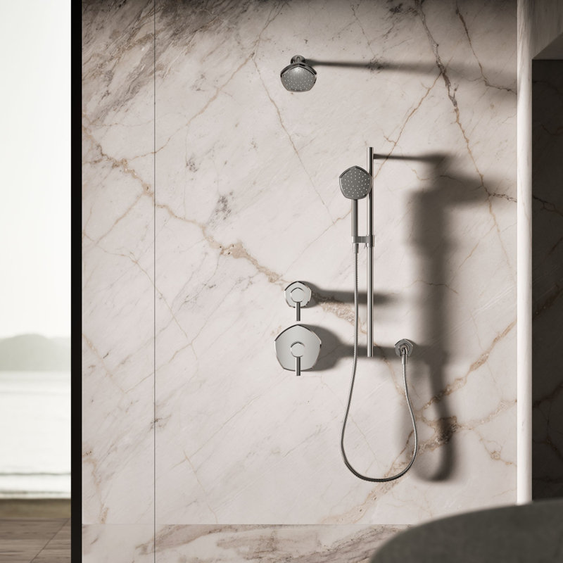 Occasion Single-Function 2.5 Gpm Handshower, Vibrant Titanium