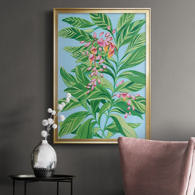Tropical Shell Ginger II Premium Framed Print - Ready To Hang