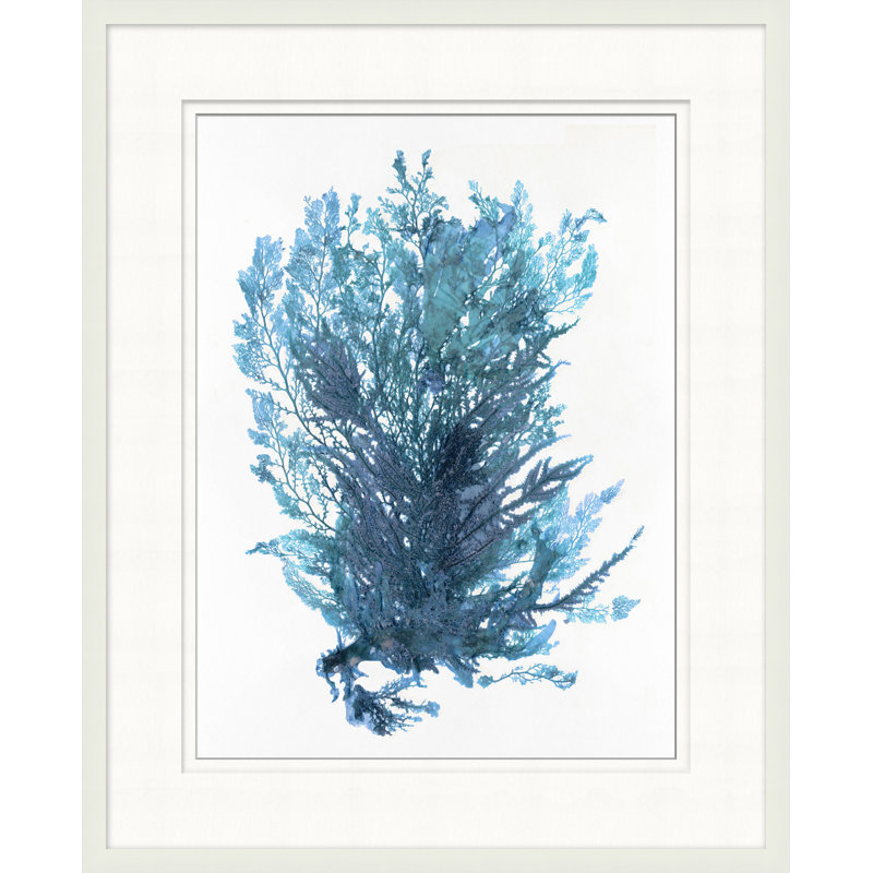 Peinture sur cadre Indigo Seagrass 4 par