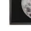 Silver Leaf Moon Print