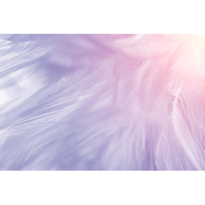 Feathers - Wrapped Canvas Print