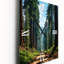 États-Unis, séquoia et Kings Canyon Forest - Horloges murales paysages-774645703