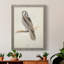 Toile encadrée de qualité supérieure Canada Owl - prête à être accrochée-598386083-598386081