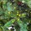 108" H Green Realistic Artificial Pine Christmas Tree with LED Lights-1657799135