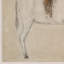 Burro Bestow By Paul Meyer-304135560
