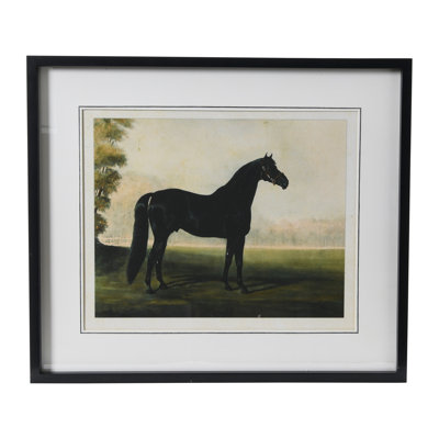 Waverly " Horse "