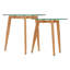 Leilani Glass Top Nesting Tables