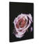 The Pale Purple Rose in Abstract - Wrapped Canvas-55303369