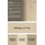 Surface beige contemporaine tapis-291199834
