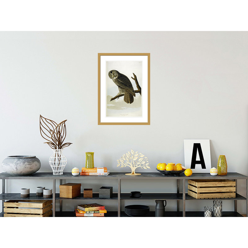 «Great Cinereous Owl» par John James Audubon, impression giclée encadrée, H 29,5 po x l 21,37 po