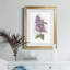 Awash in Lilac II par J Paul - reproduction d'art encadrée-1318215557-1318215556