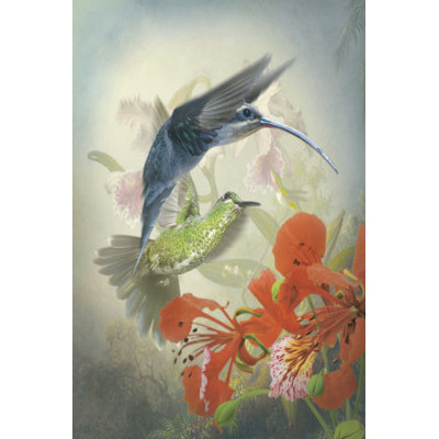 " Hummingbird Cycle II " Painting Print