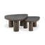 Zion Solid Wood Nesting Coffee Table-2014503654
