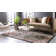Edens Oriental Indoor Rug