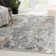 Seren Abstract Gray Area Rug