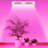 CG INTERNATIONAL TRADING Grow Light
