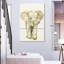 Brampt bébé éléphant I-117574797