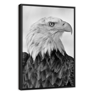 Fierce Looking Eagle