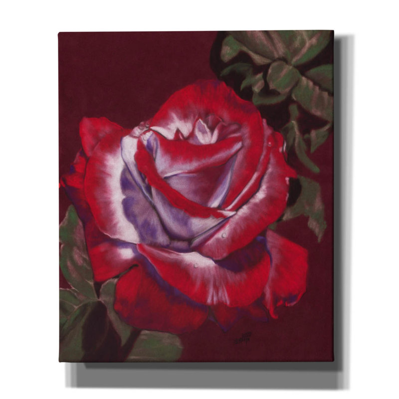 'Ruby' by Barbara Keith, Canvas Wall Art, 24" H x 20" W x 0.75" D