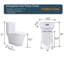Toilette de salle de bain moderne avec bouton doré et système de chasse efficace allongé-121682924