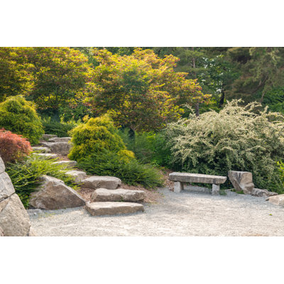 Beautiful Garden Setting by Feverpitched - Wrapped Canvas Print