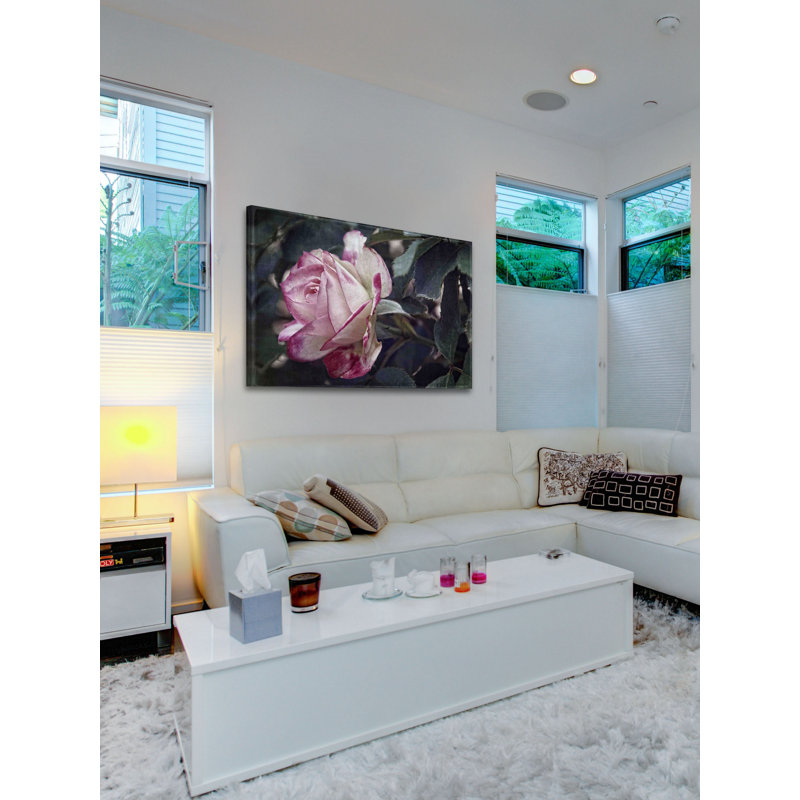 Vintage Variation by Leda Robertson - Wrapped Canvas Print, 30cm H x 46cm W x 4cm D