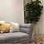 Photos des clients 2 de 2