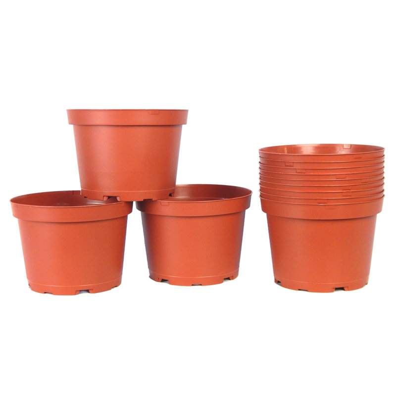 Pot en terre cuite 6 po (paquet de 12)