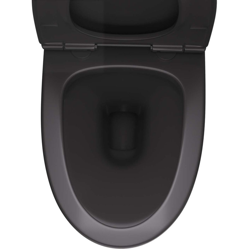 Toilette allongée une pièce 1,6 GPF Tusuton, Noir mat