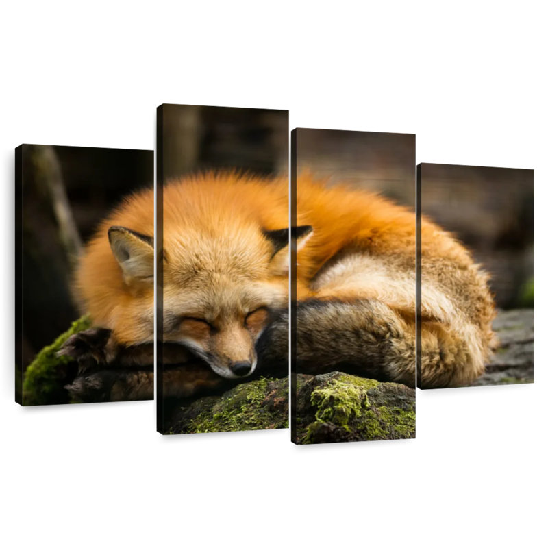 Brampt Sleeping Yellow Fox, 22" H x 36" W